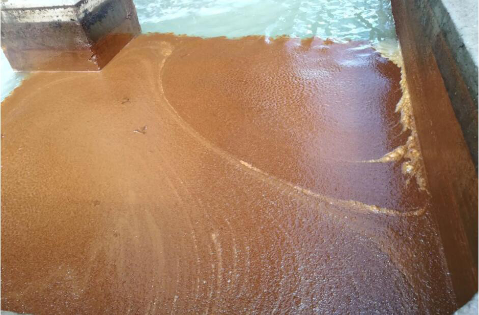 (圖:南輝水處理消泡劑應(yīng)用)