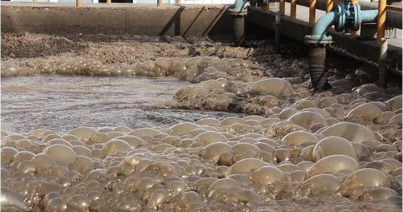 （圖：南輝水處理消泡劑應用）