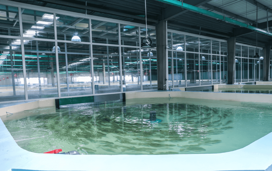 陽(yáng)離子污水處理消泡劑